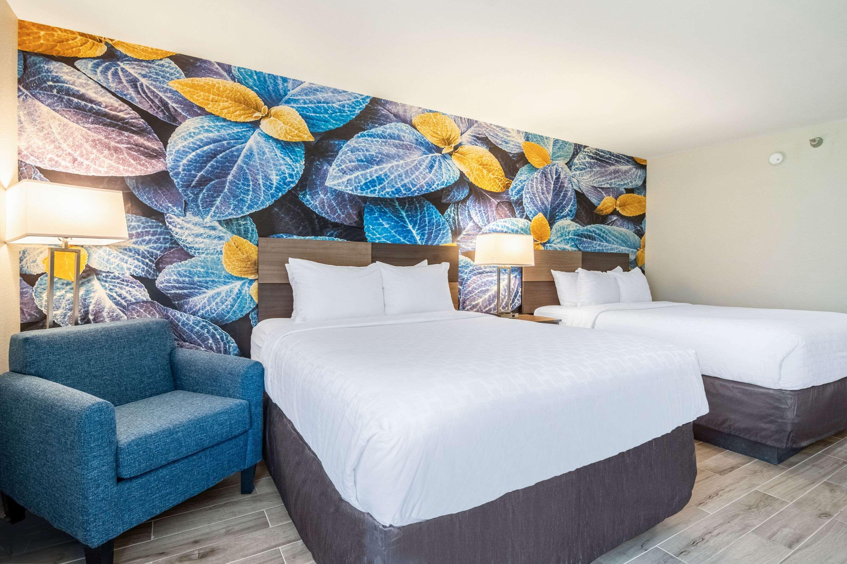 Clarion Pointe South Boston - Danville East Экстерьер фото